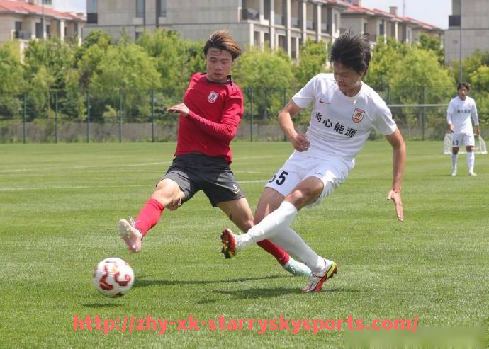 星空体育-意甲联赛全部球队全称及缩写完整列表（2025年最新版）