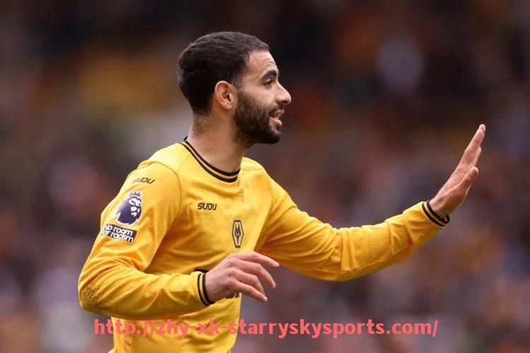 星空体育-法甲赛季走势及联赛排名动态追踪