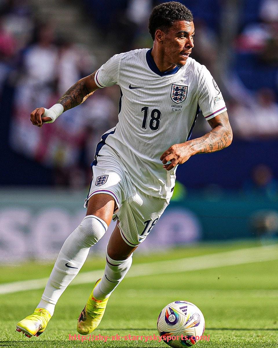 星空体育-科隆参与德甲几支球队?城市足球资源盘点