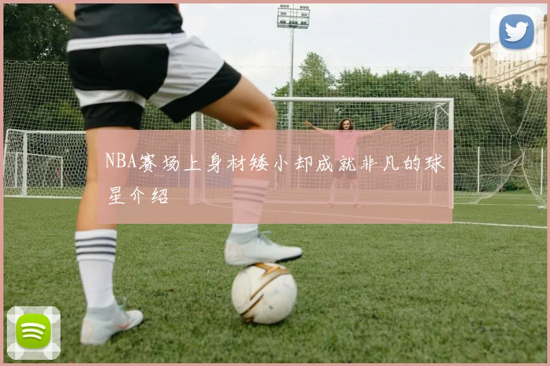 NBA赛场上身材矮小却成就非凡的球星介绍