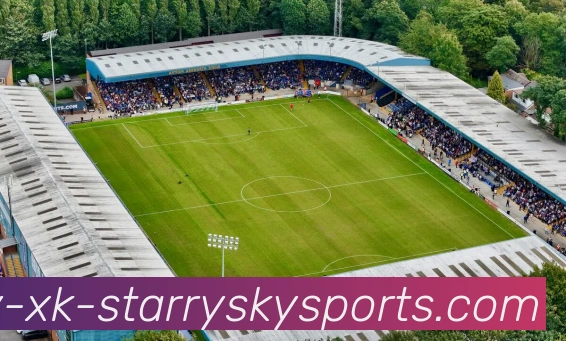 多媒体互动体验